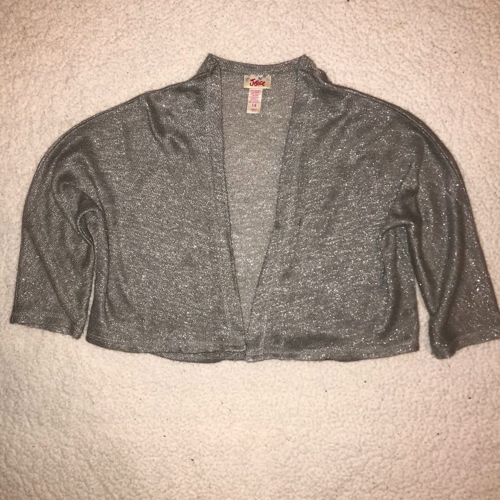 sparkly silver cropped sweater